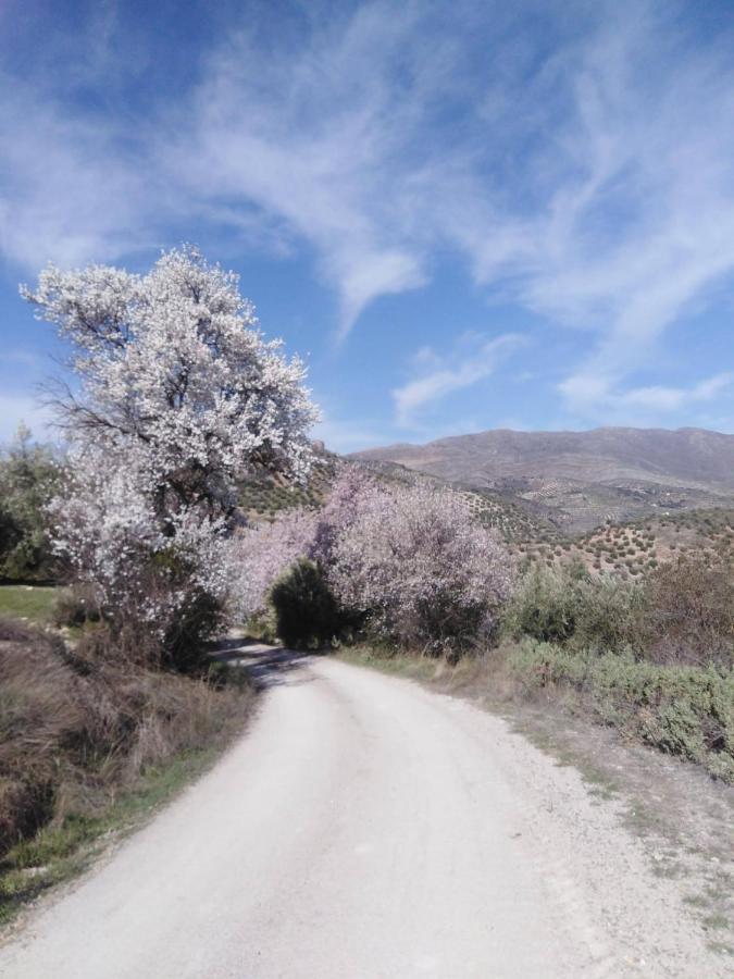 EL CONVENTO Vivienda Rural Jaén Andalucía España Carchelejo Extérieur photo